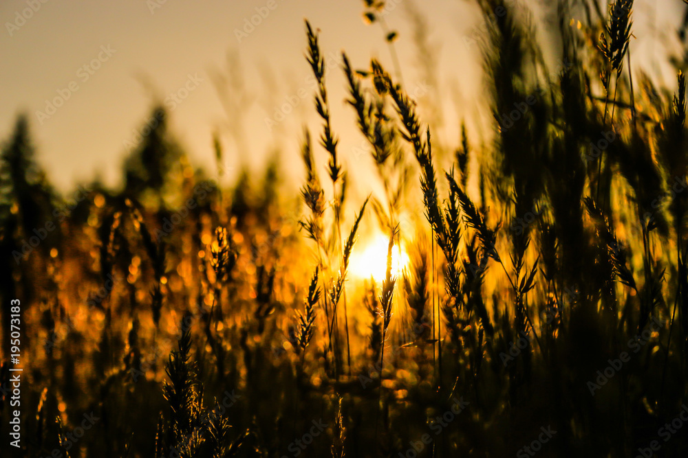 Sunsets Can't Be Explained Sunsets Can't Be Explained