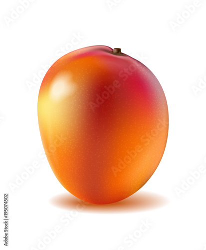 Mango fruit for fresh juice. 3d realistic yellow, red, orange ripe mango isolated. Vector EPS 10.