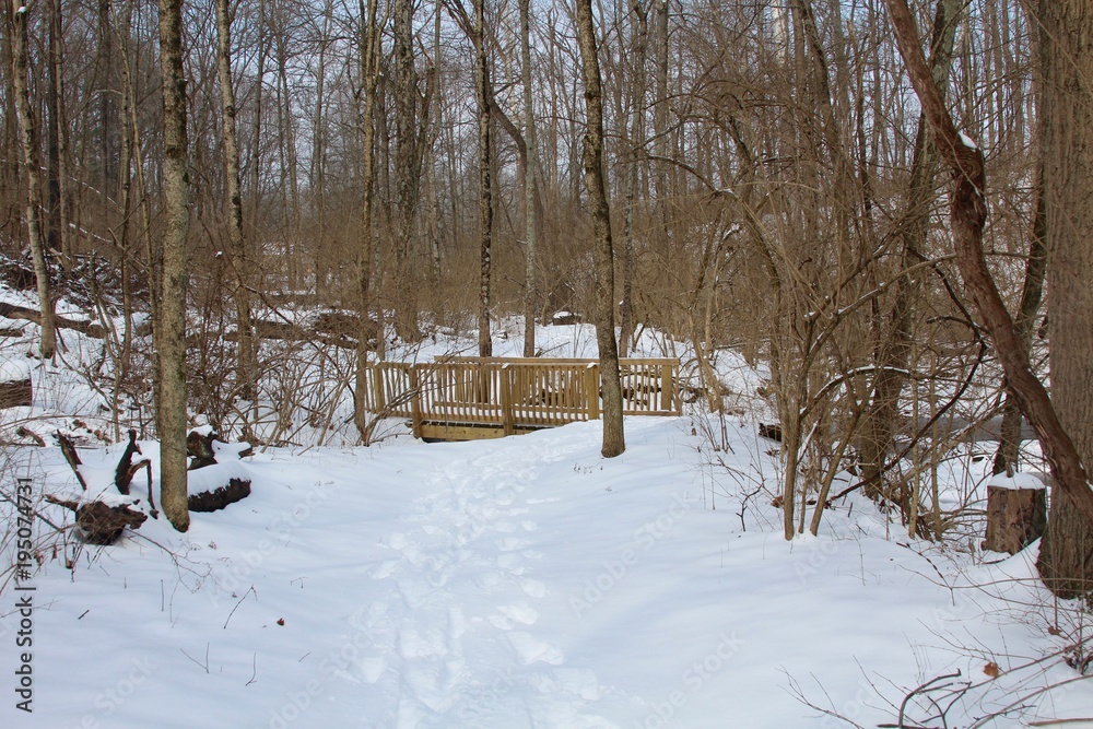 Fototapeta premium The wooden bridge in the snowy landscape of the forest. 