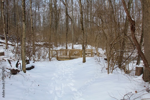 The wooden bridge in the snowy landscape of the forest. 