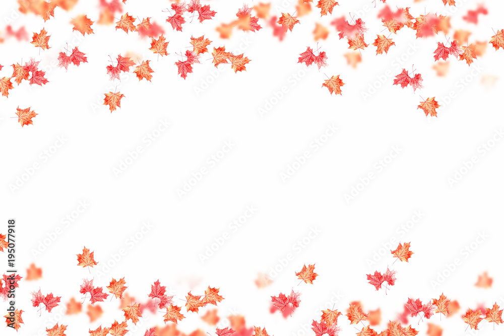 Bright colorful autumn leaves Bright colorful autumn leaves