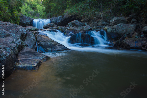 Tropiccal forest waterfall in Gold Coast hinterland  Queensland  Australia