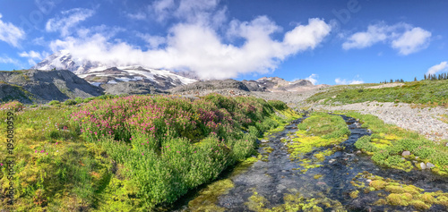 Panoramic view of Mt Rainier creek and glacier on a beautiful summer day