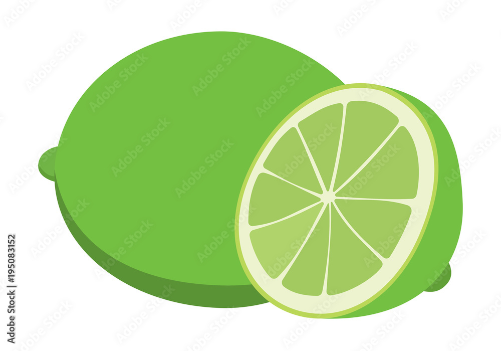Vector whole and half of of lime. Every part isolated. Vector whole and half of of lime. Every part isolated.