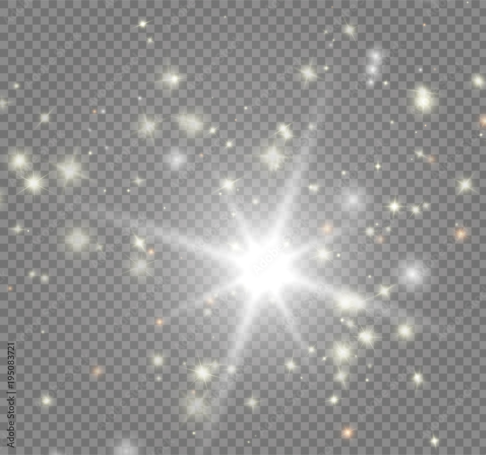 The bright star on transparent background. Vector The bright star on transparent background. Vector