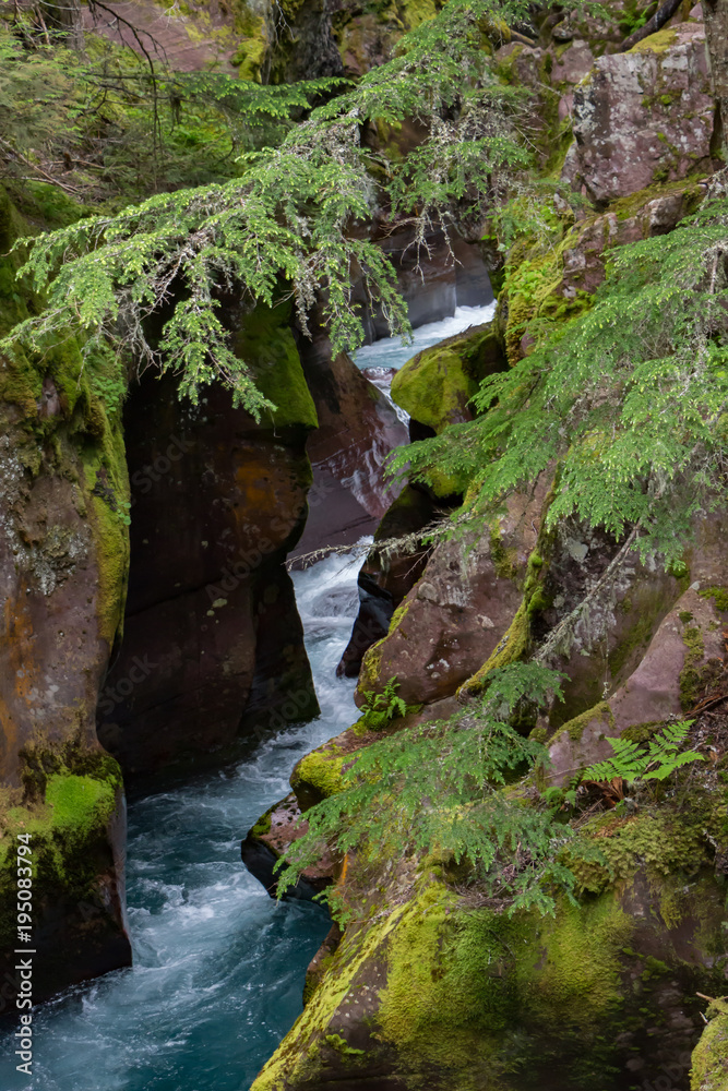 Lower Avalanche Gorge, Glacier National Park, Montana Lower Avalanche Gorge, Glacier National Park, Montana