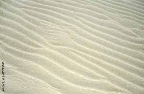 Sand Texture