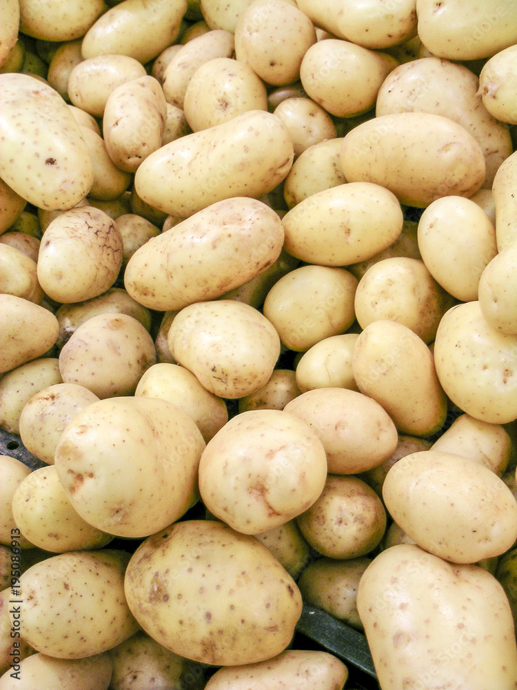 Sao Paulo, SP, Brazil, September 11, 2003. Consumers in the potato stall in a supermarket in São Paulo, SP Sao Paulo, SP, Brazil, September 11, 2003. Consumers in the potato stall in a supermarket in São Paulo, SP