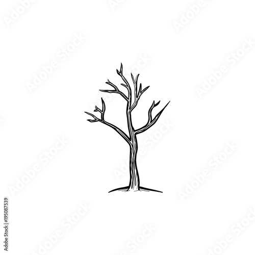 Dry tree hand drawn outline doodle icon. Global warming vector sketch illustration with dry tree for print, web, mobile and infographics isolated on white background.