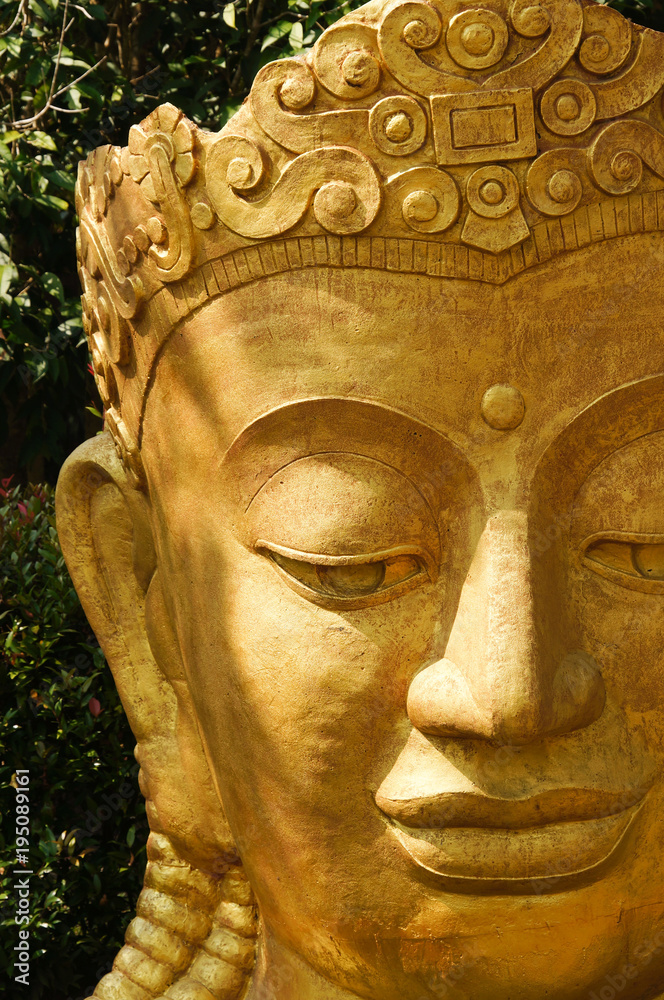 Buddha statue head in garden of a temple, Thailand.