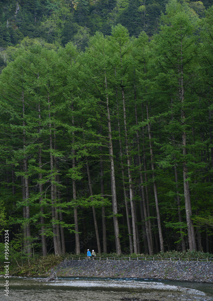 Obraz premium Idyllic landscape of Kamikochi national park, Kamikochi, Japan