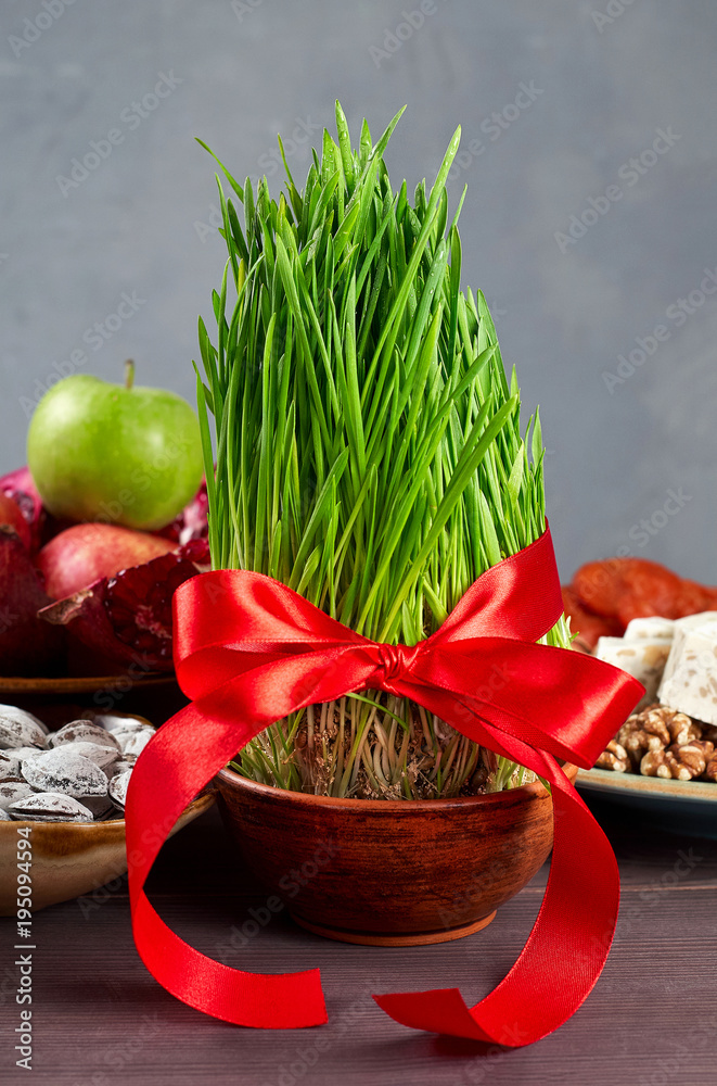 Sprouted seeds with red ribbon. Traditional fresh green grass samani symbol of spring and Azerbaijan holiday Nowruz