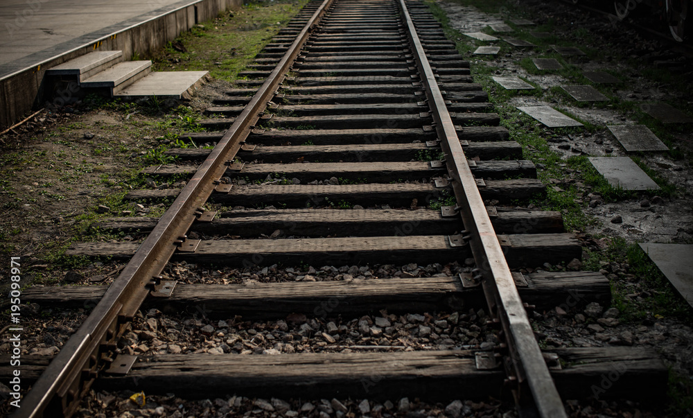Fototapeta premium Parked vintage train parked in the park