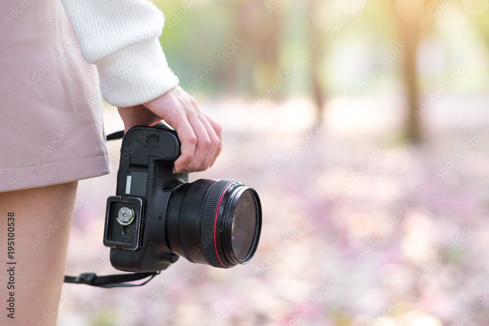 Female photographer holding digital camera with cherry blossom in park - obrazy, fototapety, plakaty 
