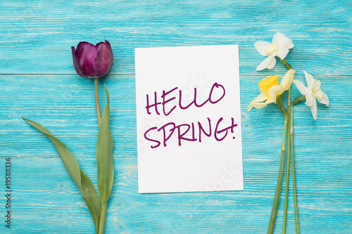 hello spring, text and two spring flowers over turquoise wooden planks