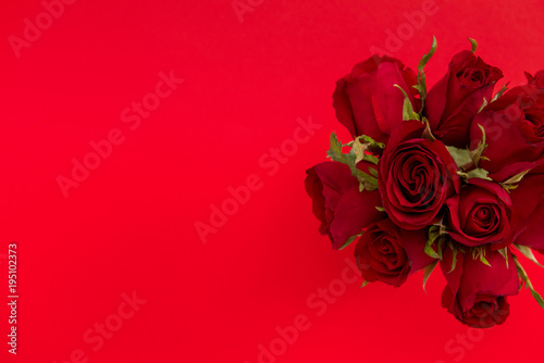 Valentine s day rose bouquet on red background