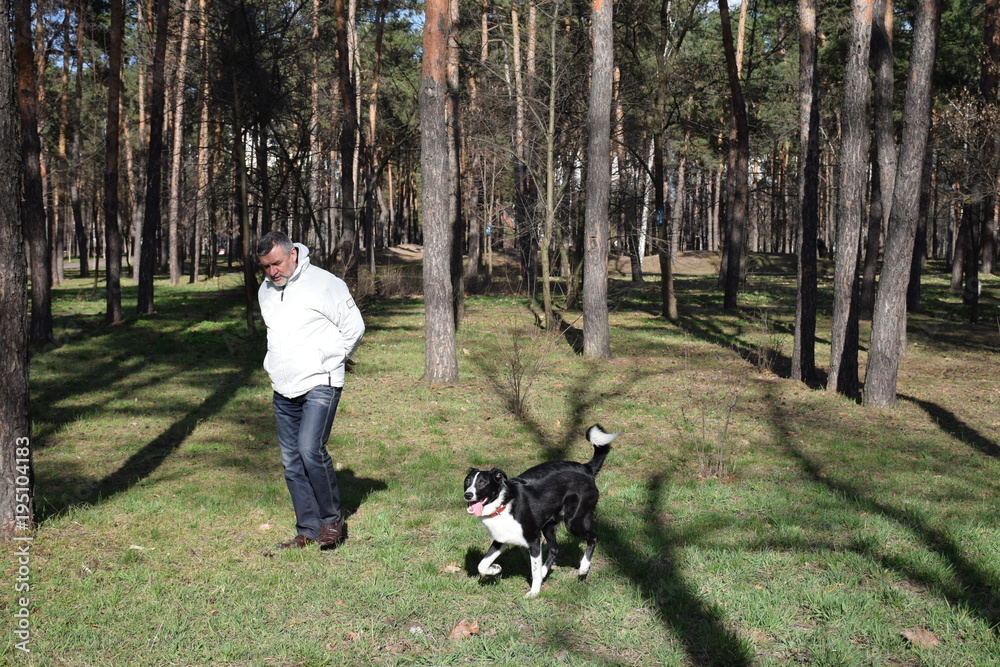 зрелый,кавказский мужчина с собакой отдыхает в лесу  