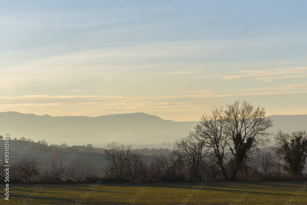 Blue and orange sky on a foggy dawn with a winter tree silhouette Blue and orange sky on a foggy dawn with a winter tree silhouette