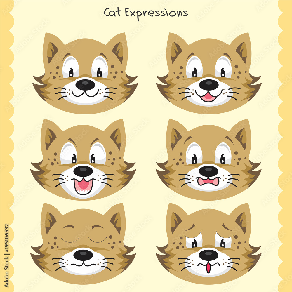 Obraz premium Cat Faces Expression