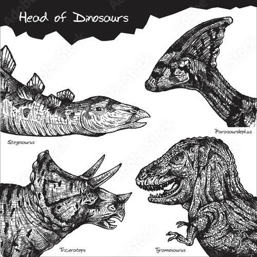 Heads of Dinosaurs