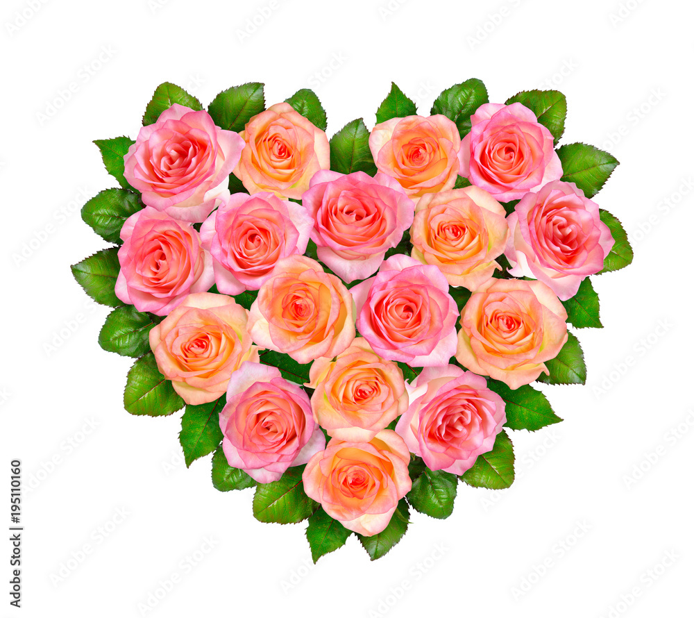 Heart of pink roses. Isolated on white background