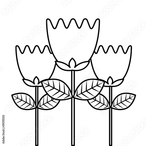 tulip flowers decoration natural romantic