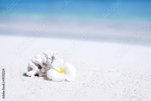 Fototapeta Naklejka Na Ścianę i Meble -  Marriage rings on coral decorated white plumeria flower on sandy beach close to turquoise sea