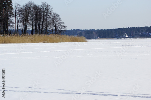 Wallpaper Mural Snowy winter view, frozen lake with island inside Torontodigital.ca
