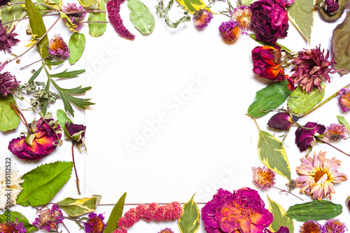 frame, card petal, dry floral