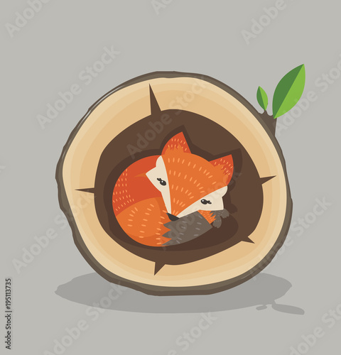 Cute Red Fox Sleeping inside a hollow tree