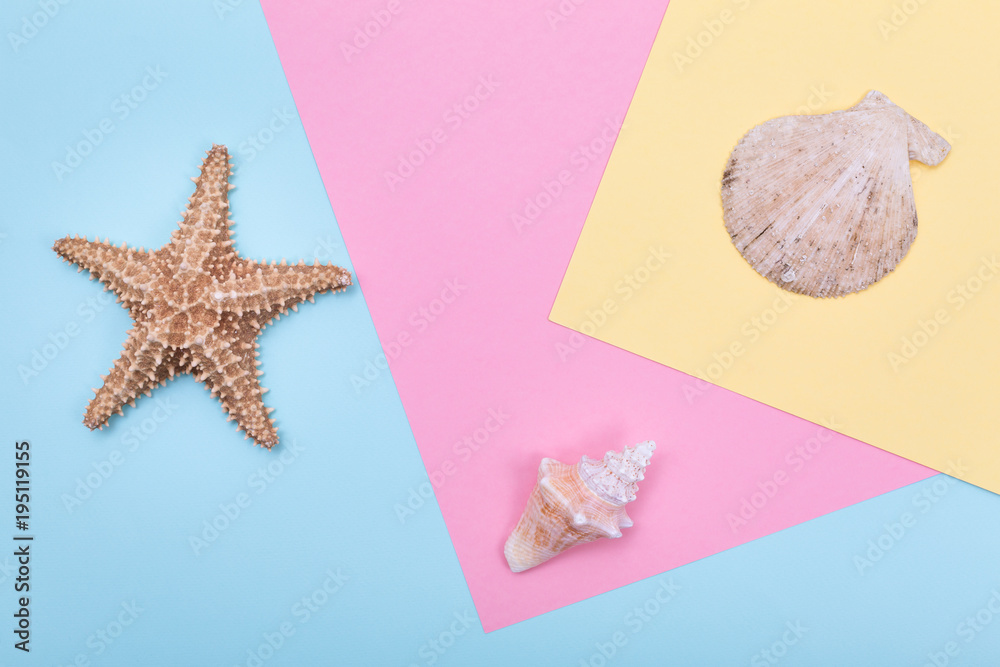 Starfish and seashell on serenity colored paper texture Starfish and seashell on serenity colored paper texture