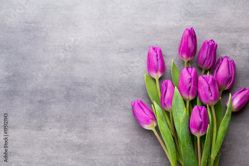 Fototapeta Naklejka Na Ścianę i Meble -  Multicolored spring flowers, tulip on a gray background.