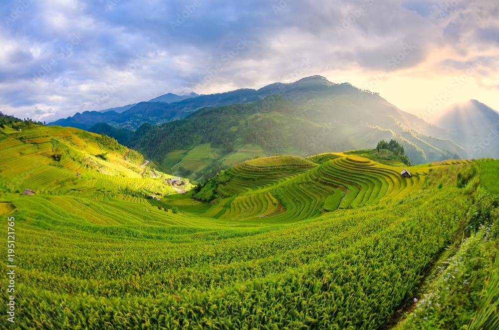 Terraced rice field in the harvest season in Mu Cang Chai,Rice terrace on during sunset ,Northeast region of Vietnam Terraced rice field in the harvest season in Mu Cang Chai,Rice terrace on during sunset ,Northeast region of Vietnam