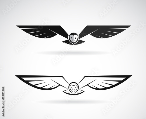 Vector of an owl design on a white background. Bird. Animals. photo