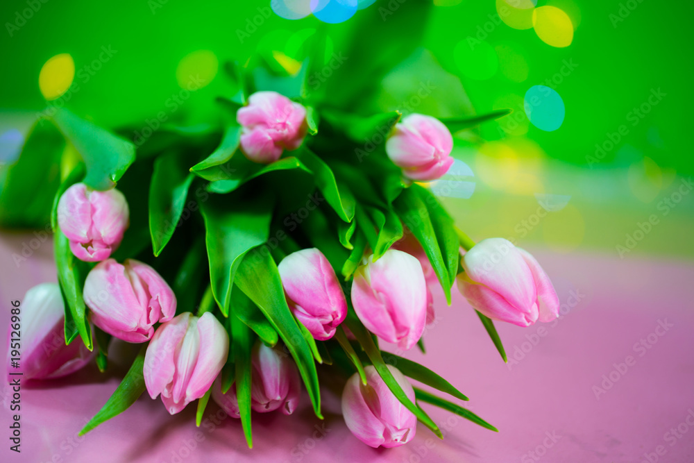 Obraz premium Tulpen auf grünem Hintergrund