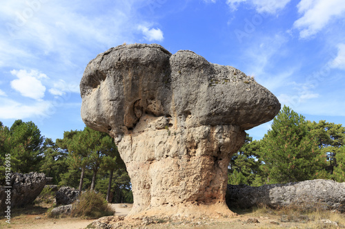 Stones in Ciudad Encantada forest in Spain, Europe