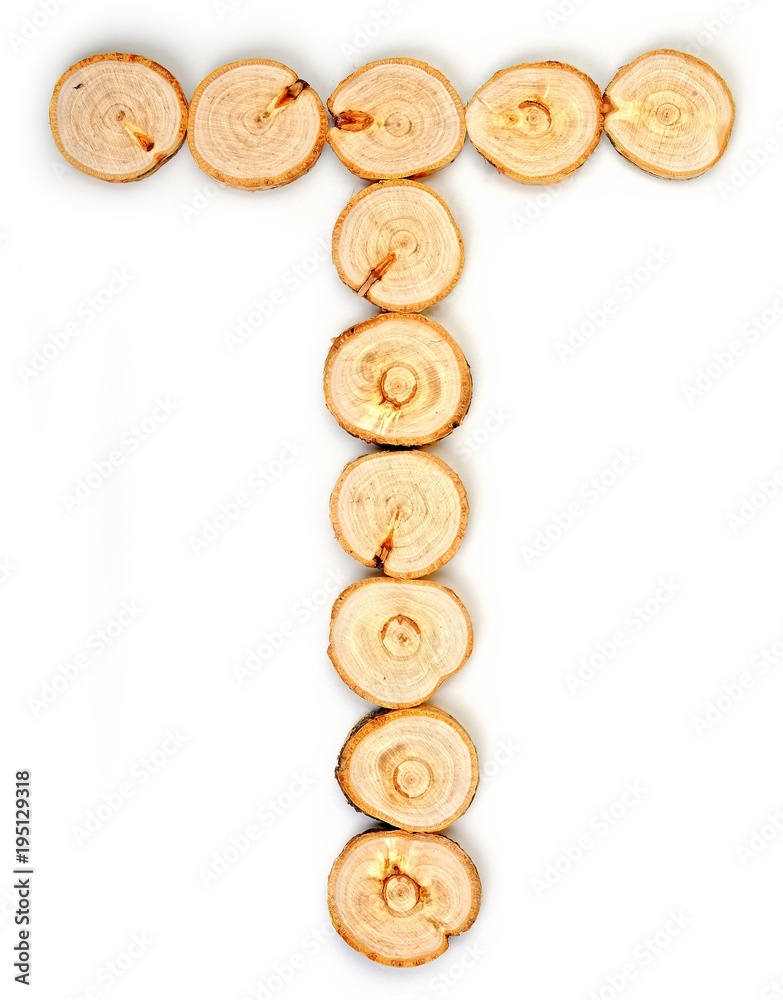 Alphabet letters made from Wood slice on white Background.T. Alphabet letters made from Wood slice on white Background.T.