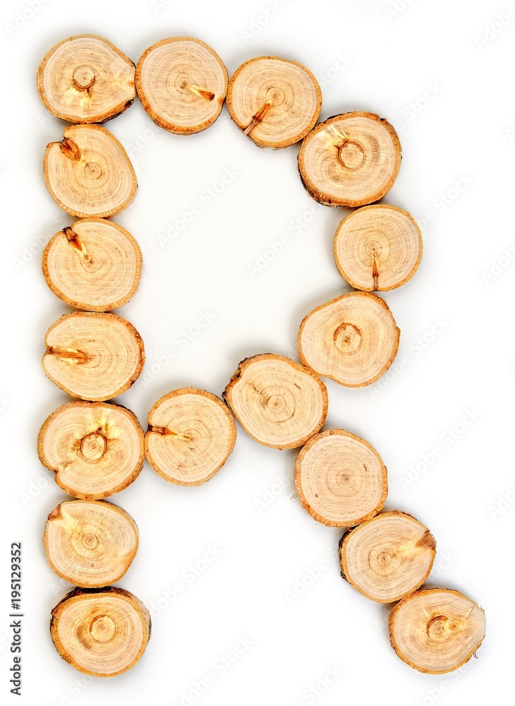 Alphabet letters made from Wood slice on white Background.R. Alphabet letters made from Wood slice on white Background.R.