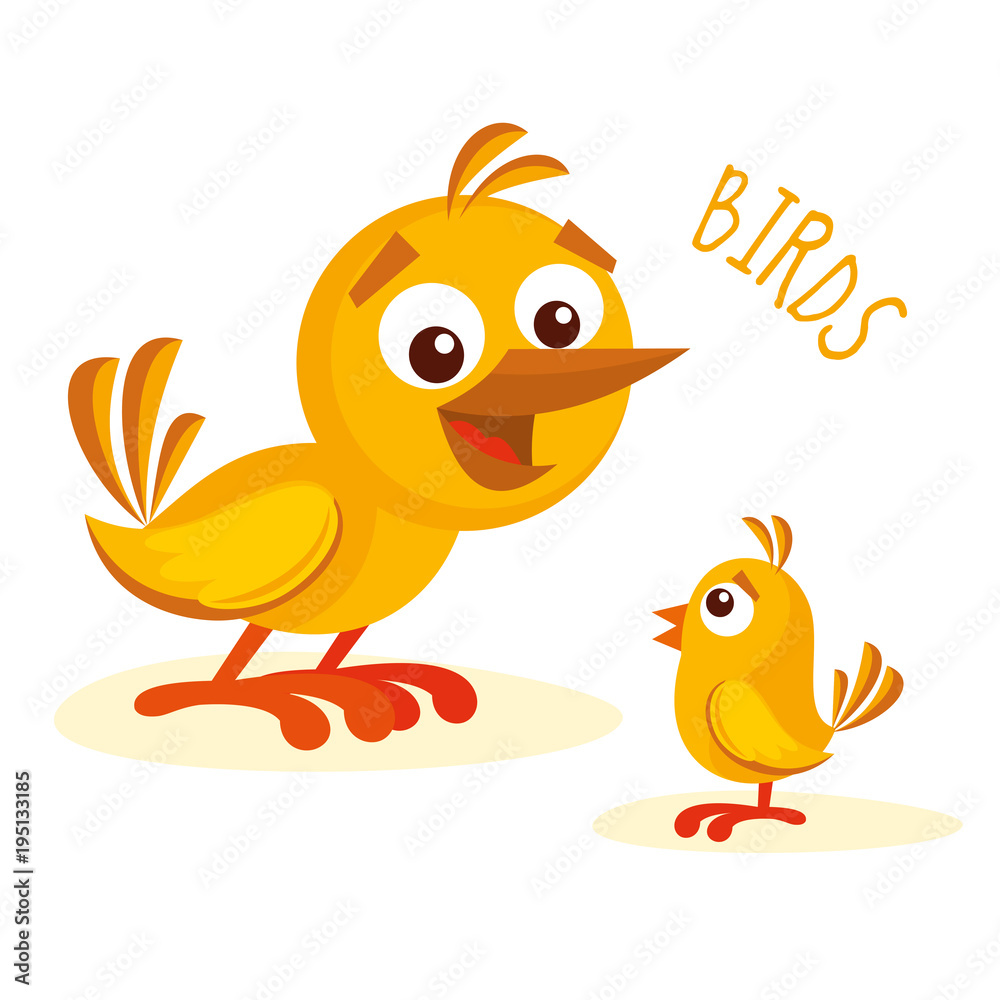 Birds vector illustration Birds vector illustration