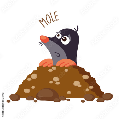 Mole vector illustration