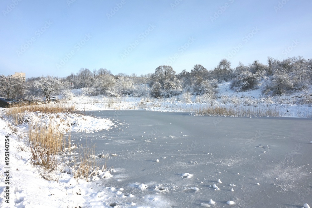 A frozen city pond or a lake. On both banks grow snow-covered reeds and deciduous trees