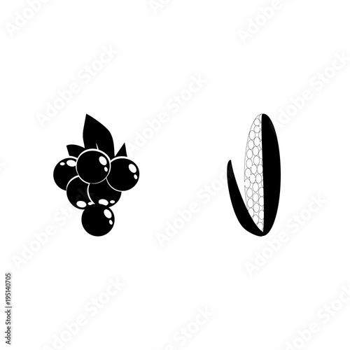 icon Fruits And Vegetables with corn, vintage vine, dredge corn, maize and vitamins