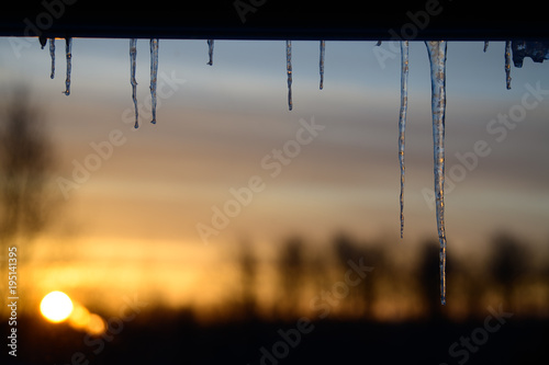Icicle sunrise
