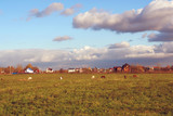 Scene is idyllic rural landscape. Serene Village farm settlement and horses in the pasture.   