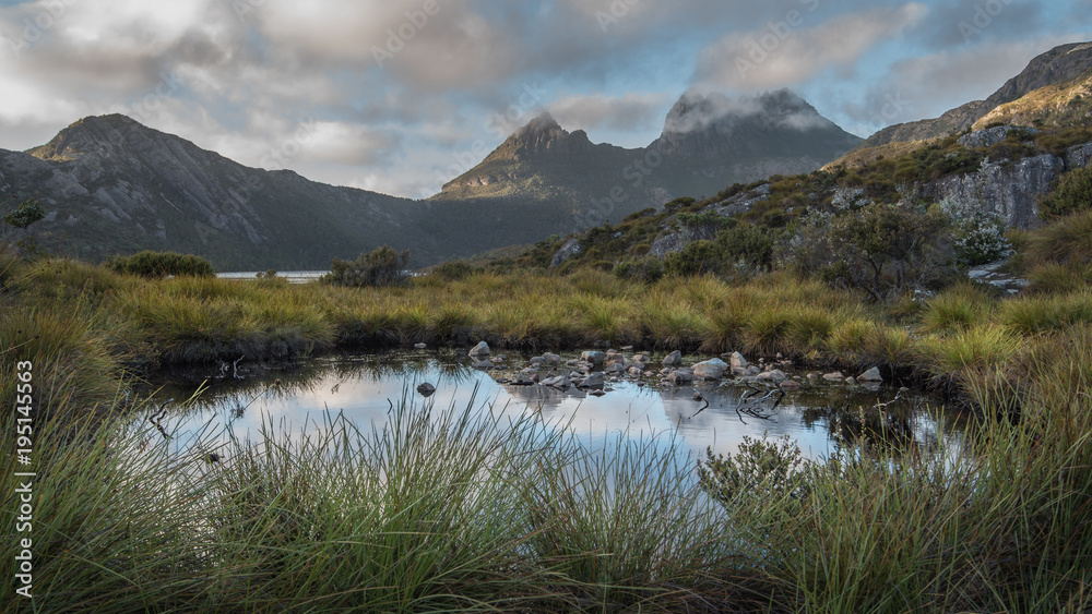 The wilderness of Tasmania in the Cradle Mountain-Lake St Clair National Park