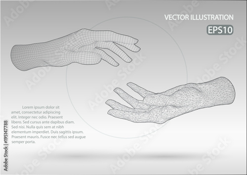 Vector wire frame hands