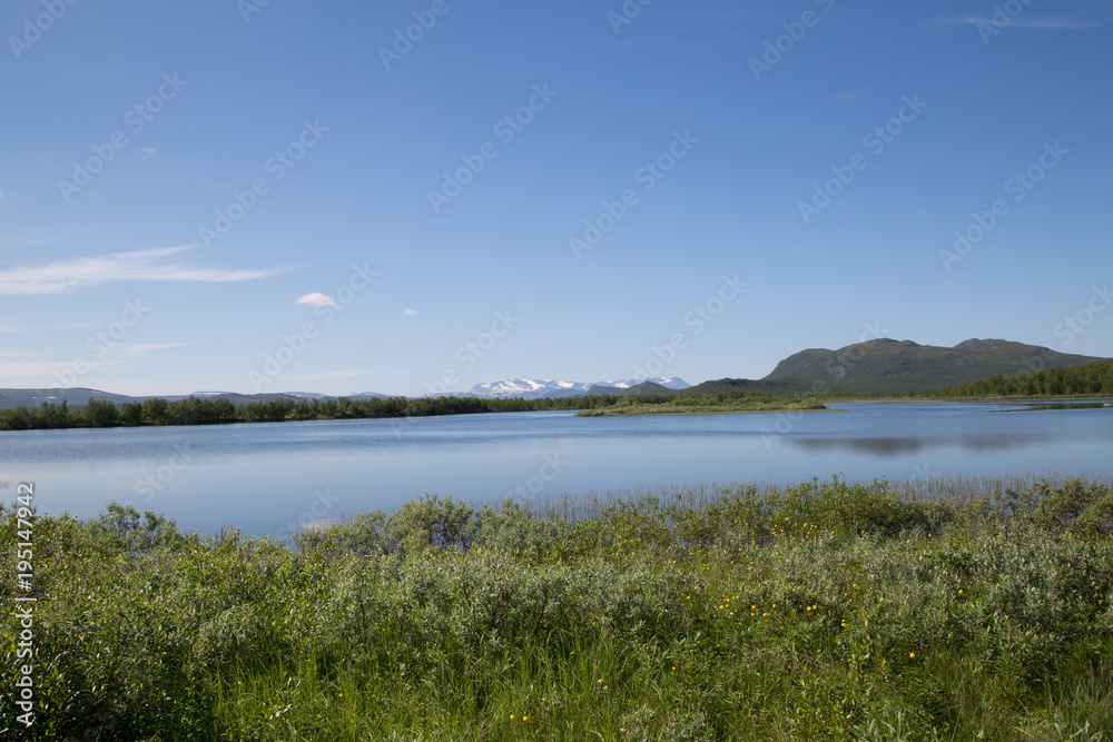 view from the river könkämäeno to the scandinavian mountains in troms, taiga, summer