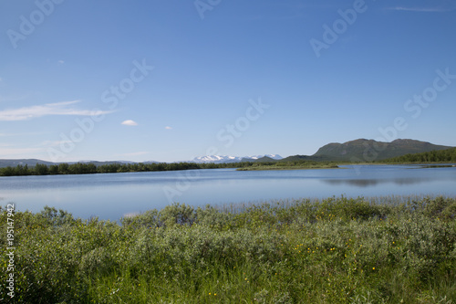 view from the river könkämäeno to the scandinavian mountains in troms, taiga, summer