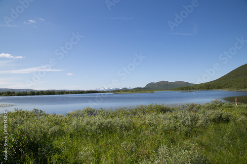 view from the river k  nk  m  eno to the scandinavian mountains in troms  taiga