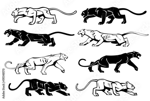Illustration of silhouettes of a panther in profile. Vector set. photo